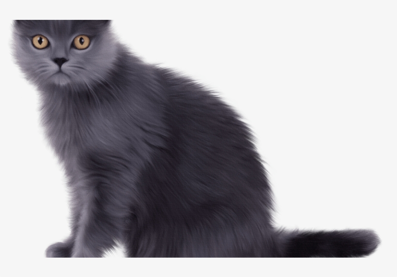 Long Hair Domestic Black Clip Art Beauty - Chartreux Cat, transparent png #322560