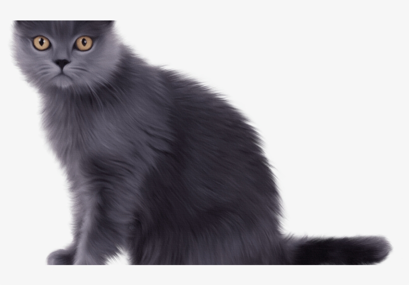 Long Hair Domestic Black Clip Art Beauty Chartreux Cat Free