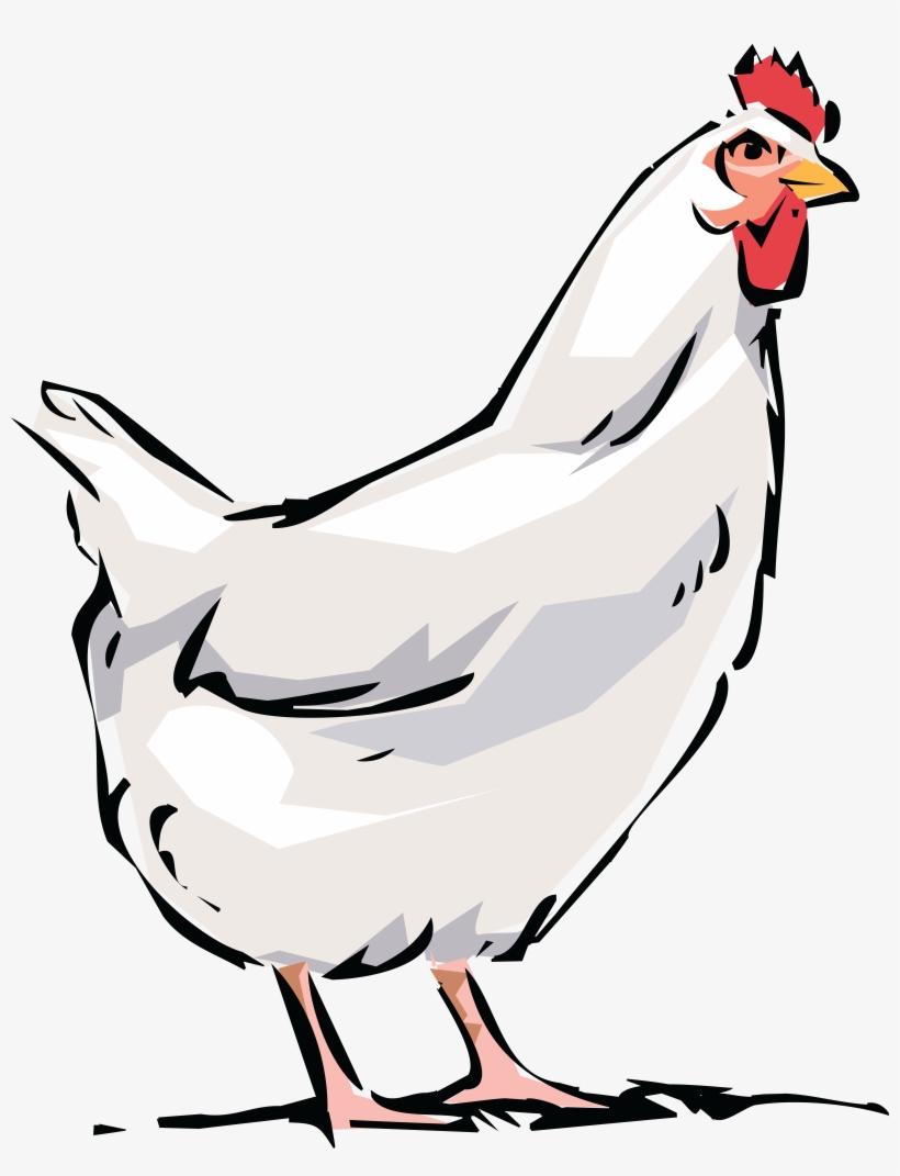 Dominique Broiler Bird Rooster Clip Art Transprent - Chicken Png Clipart, transparent png #322704