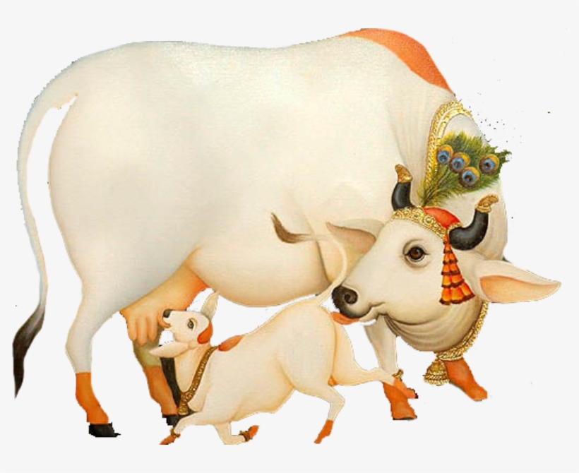 ऐसी है मेरी भगवती गौ माता - Krishna With Cow Png, transparent png #322879