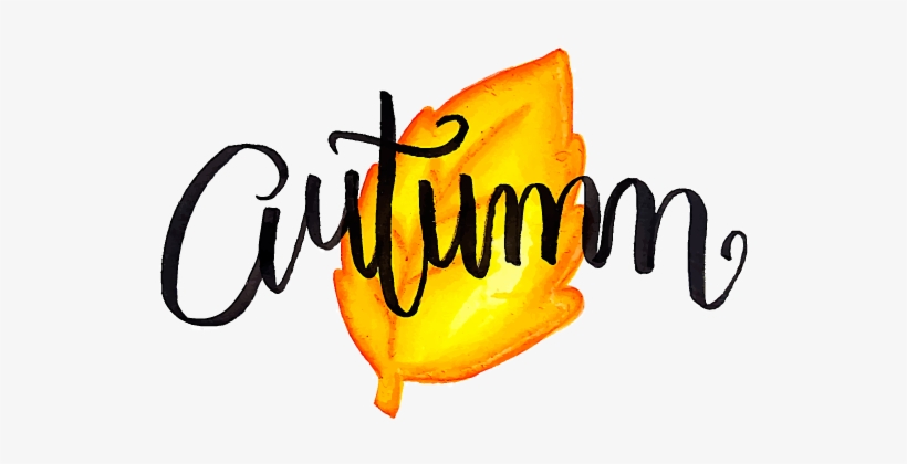 Prints Available On My Curioos Online Shop - Graphic Design, transparent png #323013