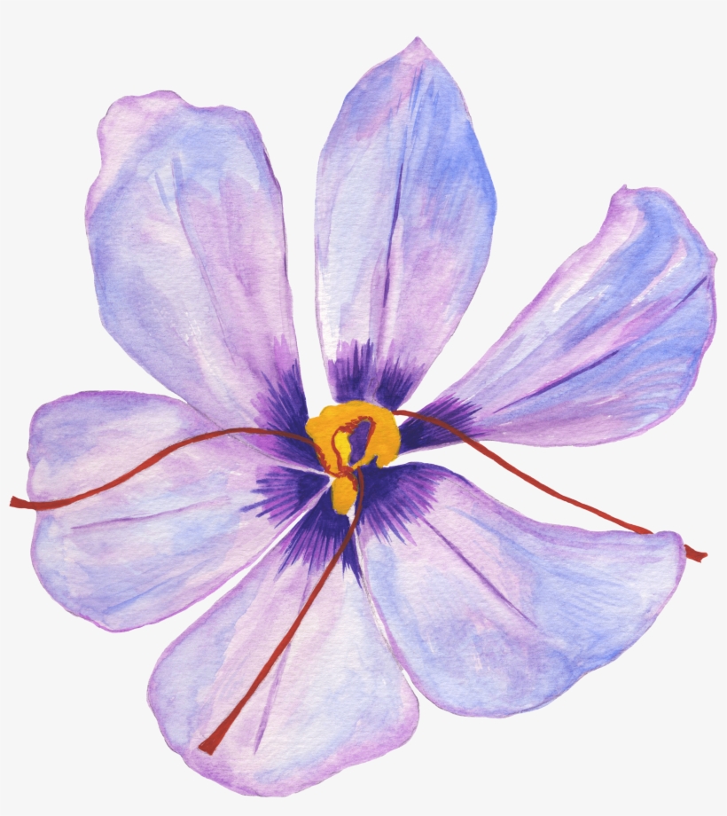 Lilac Hibiscus, transparent png #323193