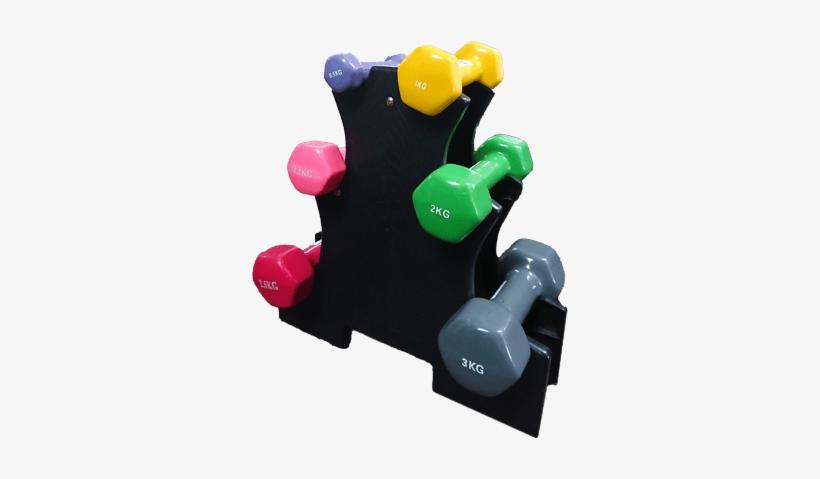 This Dumbbell Tree Is Ideal For Storing Dumbbell Neatly - Physical Fitness, transparent png #323392