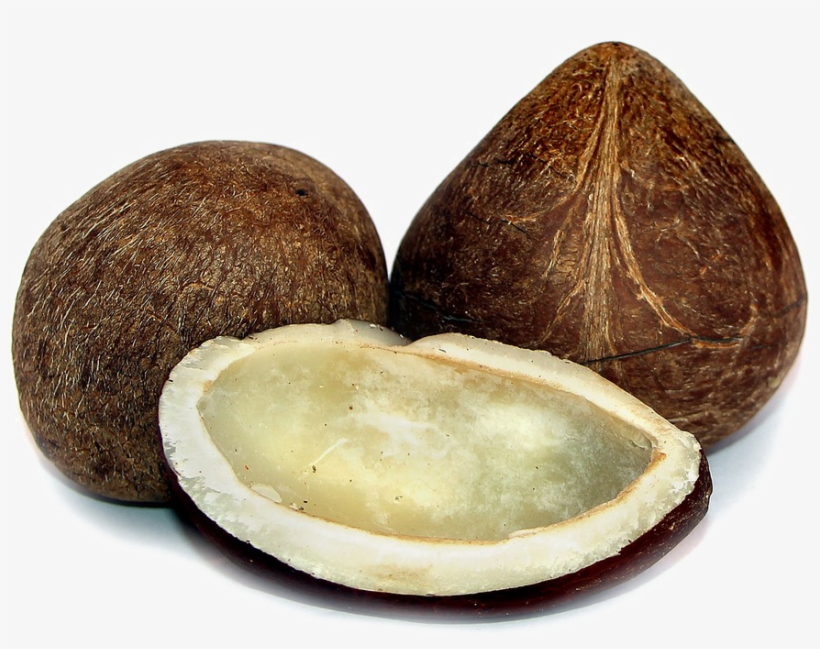 Half Coconut Png Photos - Dry Coconut Png, transparent png #323574
