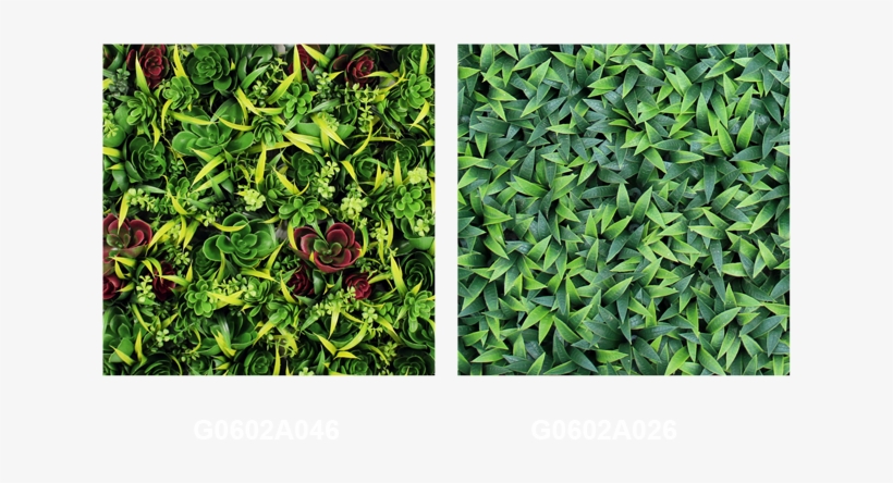Artificial Wall Plants G0602a046 & G0602a026 - Artificial Vertical Wall, transparent png #323836