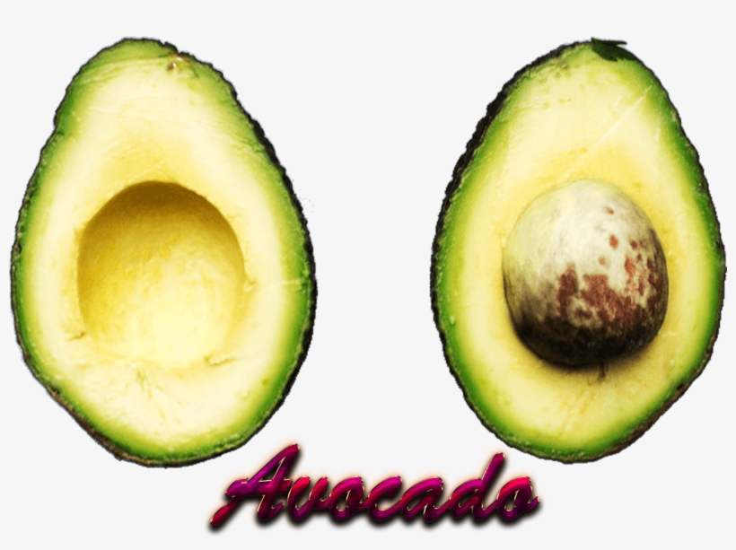 Avocado, transparent png #324600