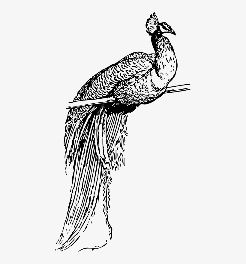 krishna bansuri png peacock clip art free transparent png download pngkey krishna bansuri png peacock clip art