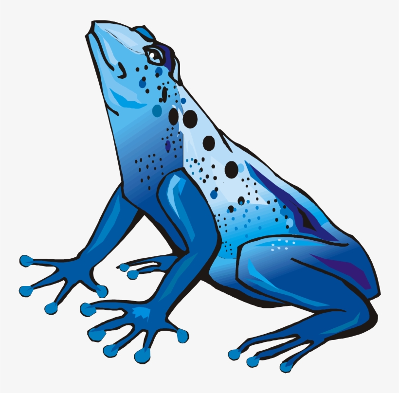 Frog Clipart Baseball - Poison Dart Frog Transparent, transparent png #325454
