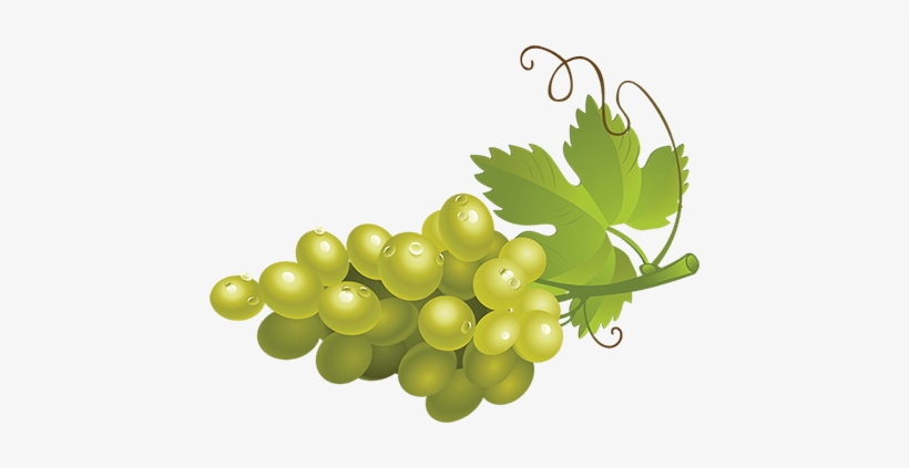 Green Grapes Png High-quality Image - Seedless Fruit, transparent png #325474