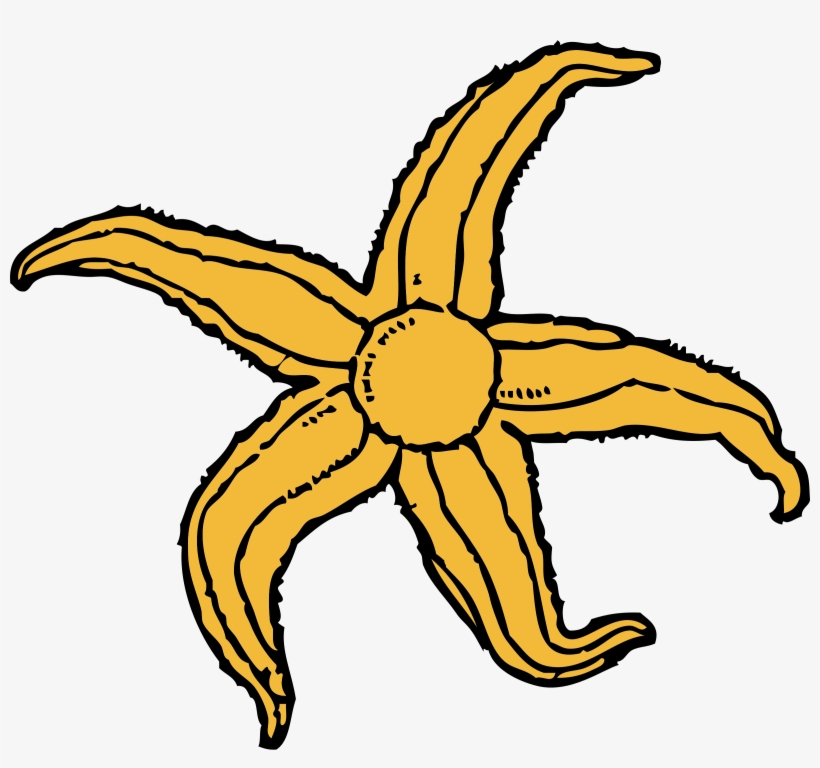Starfish Png, transparent png #325720
