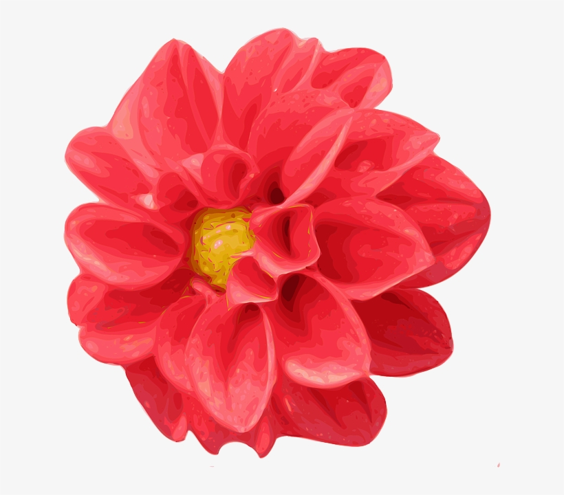 Red, Flower, Cartoon, Love, Pink, Rose, Rosa, Gift - Realistic Flower Clipart, transparent png #326492