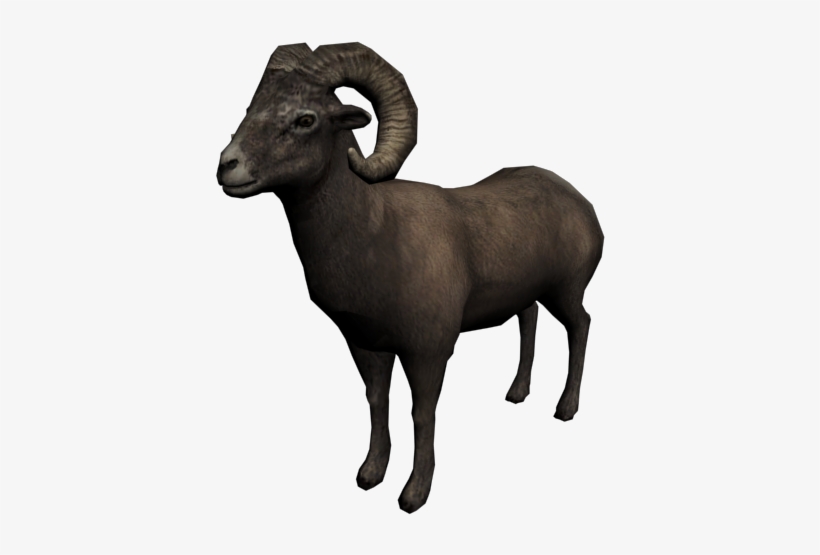 Bighorn Sheep - Red Dead Redemption Goat, transparent png #326509