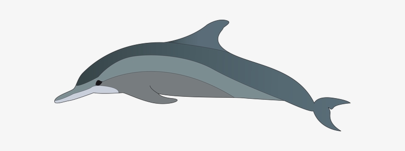 Dolphin Clip Art Png, transparent png #326761