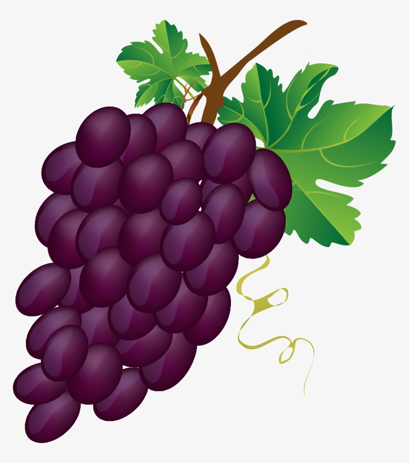 Grapes Vector Grape Bunch - Bunch Of Grapes Clipart, transparent png #326844