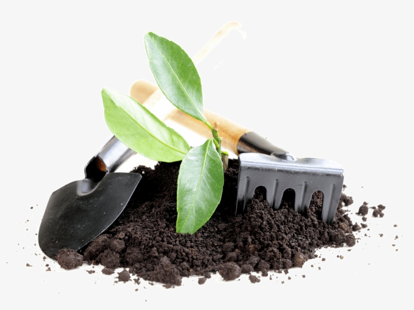 Garden Tools Png Graphic Library Download - Tool, transparent png #326901