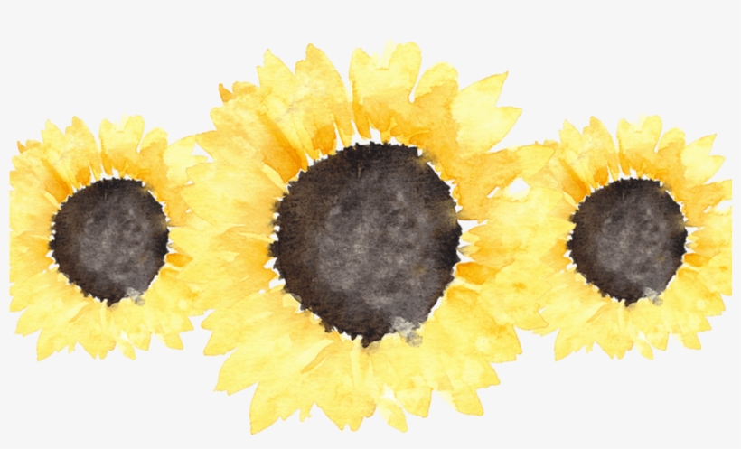Sunflowers Transparent Tumblr For Free Download On - Book, transparent png #327177