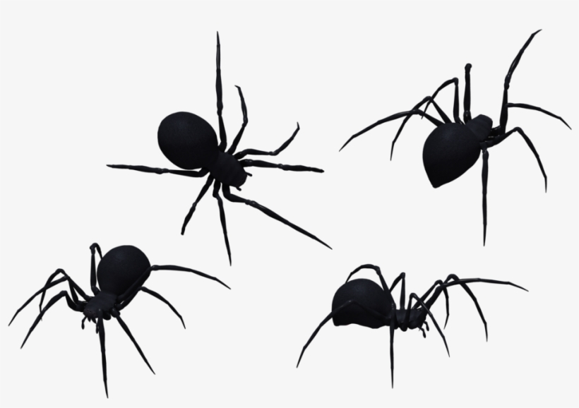 Black Spider Png High-quality Image - Black Spiders Png, transparent png #327240