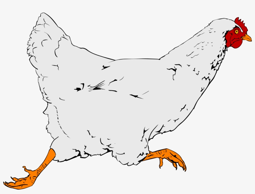 Clipart Png Chicken - Real Chicken Clipart, transparent png #327434