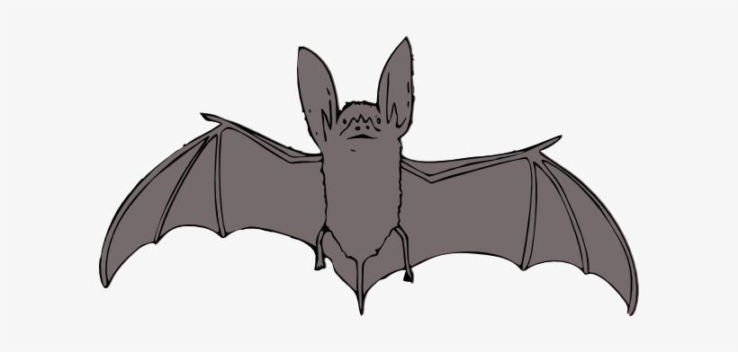 Vector Clipart Bat - Bat Clipart, transparent png #327523