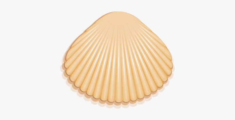Purple Seashell Png Seashell Outline Clip Art Pictures - Fotor, transparent png #327623