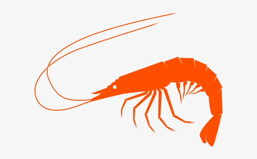 Clip Freeuse Library Orangeshrimp Clip Art At Clker - Shrimp Clipart Png, transparent png #328053