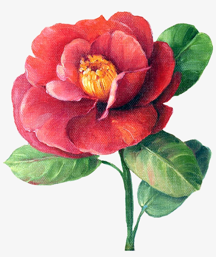 Flower Painting By Lisa Audit Png Item, transparent png #328846