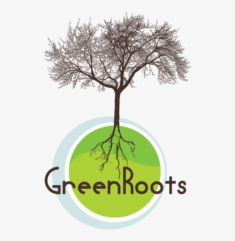 Green-roots - We Can T Choose Where We Come, transparent png #329060