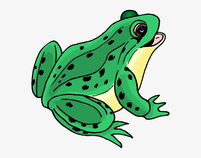 Frog Png Images Transparent Free Download - Clip Art Of Frog, transparent png #329203