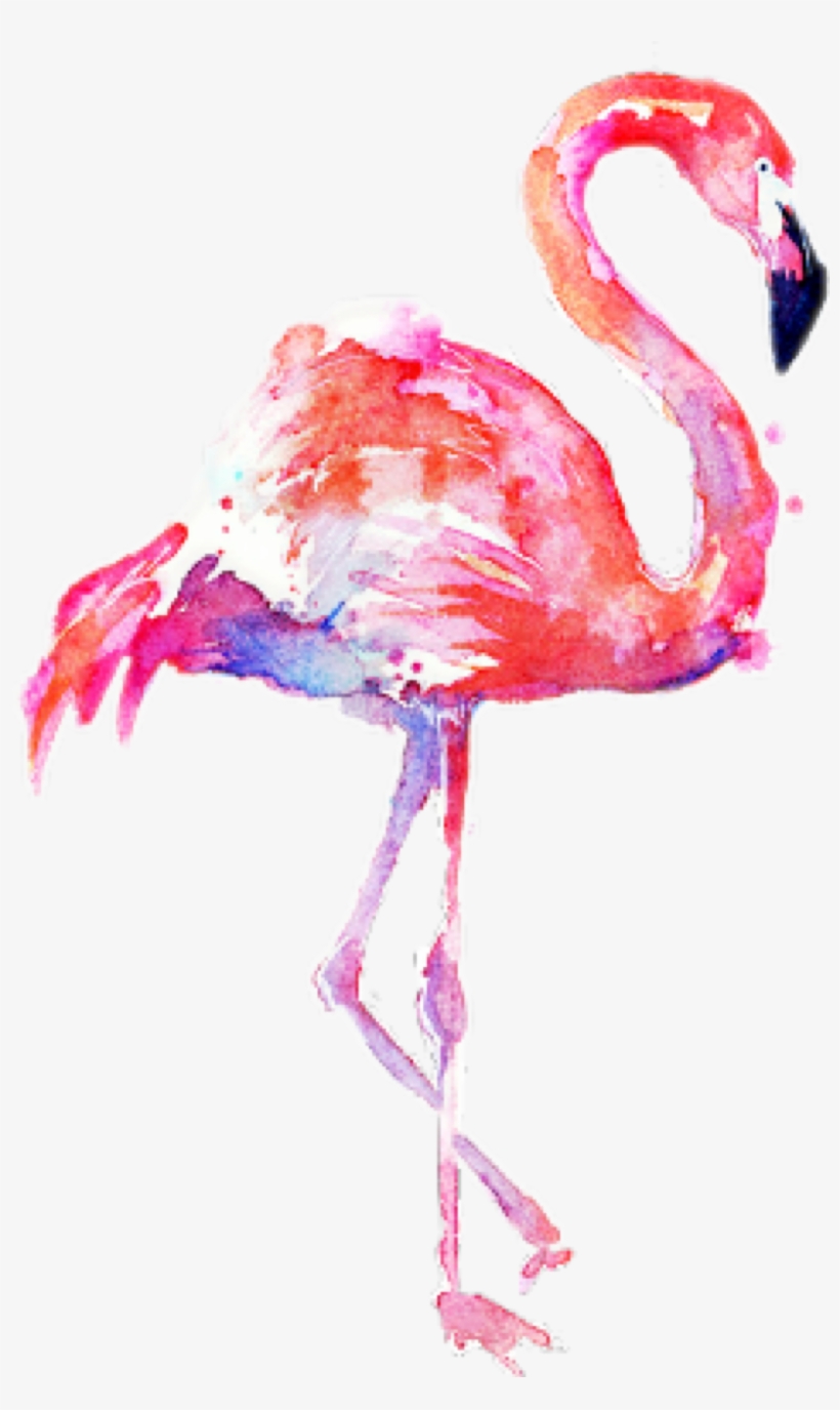 Flamingo Transparent Water Color - Transparent Background Flamingo Png, transparent png #329384