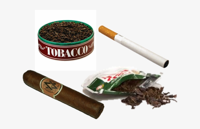 Photo Courtesy - Drugfreeazkid - Tobacco Use, transparent png #329453