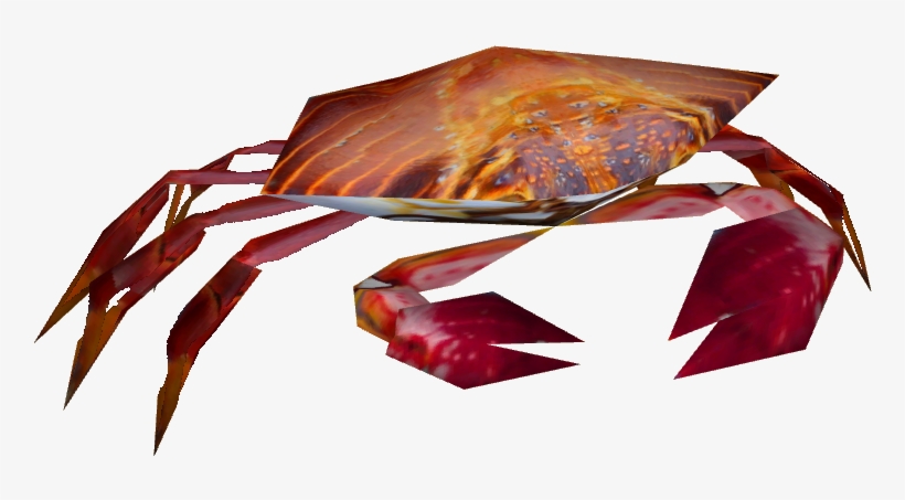Sally Lightfoot Crab - Sally Lightfoot Crab Png, transparent png #329641
