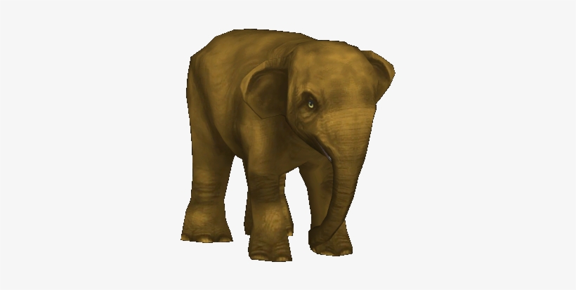 Borneo Pygmy Elephant , F2, transparent png #329667