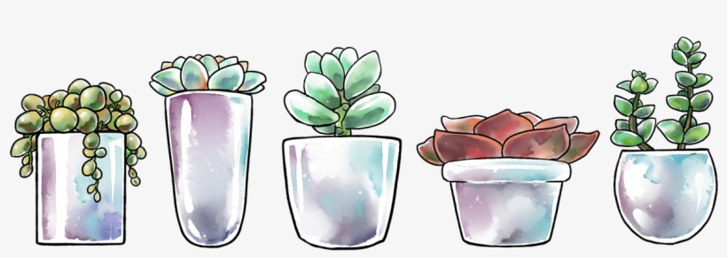 “ Some Big Transparent Succulents For All Your Nature - Succulent Drawing Transparent, transparent png #329903