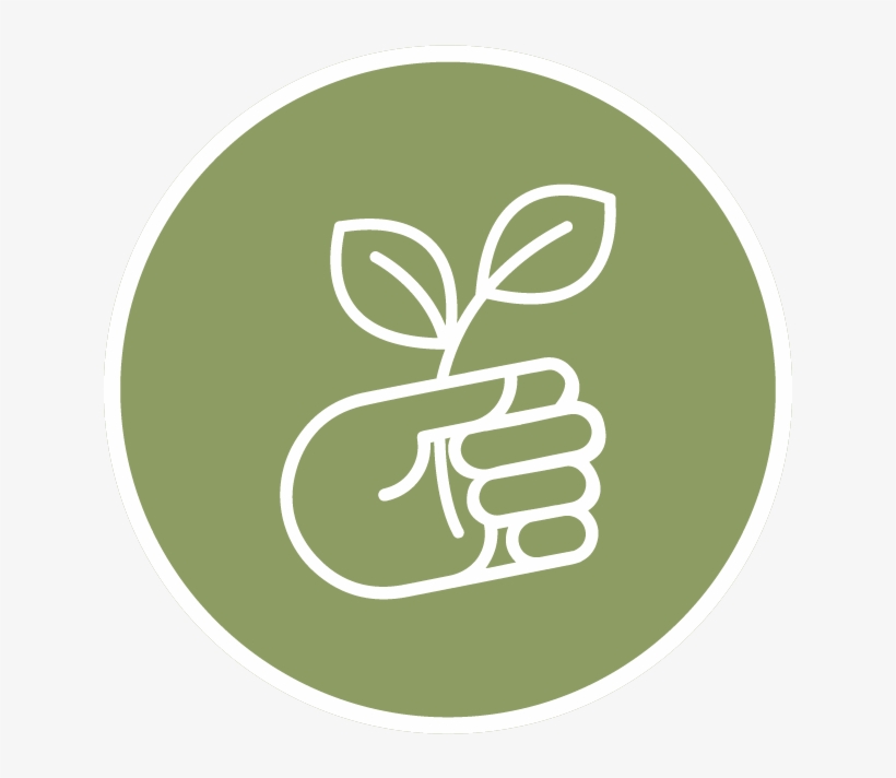 Outreach And Education@3x - Education, transparent png #3202470