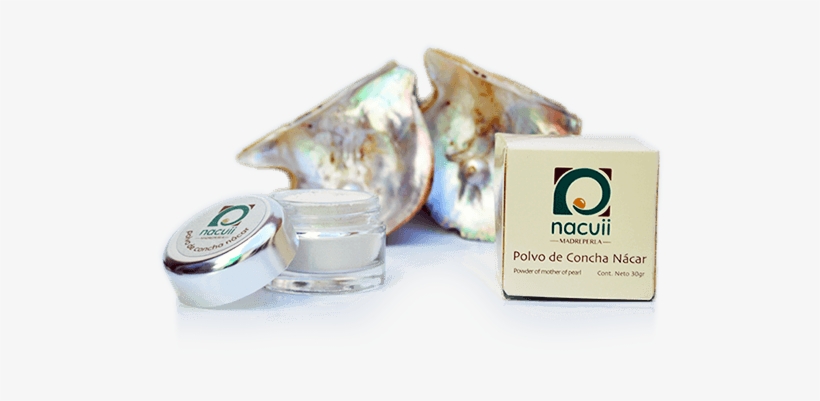 Polvo De Concha Nácar Para Eliminar El Paño - Seashell, transparent png #3203740