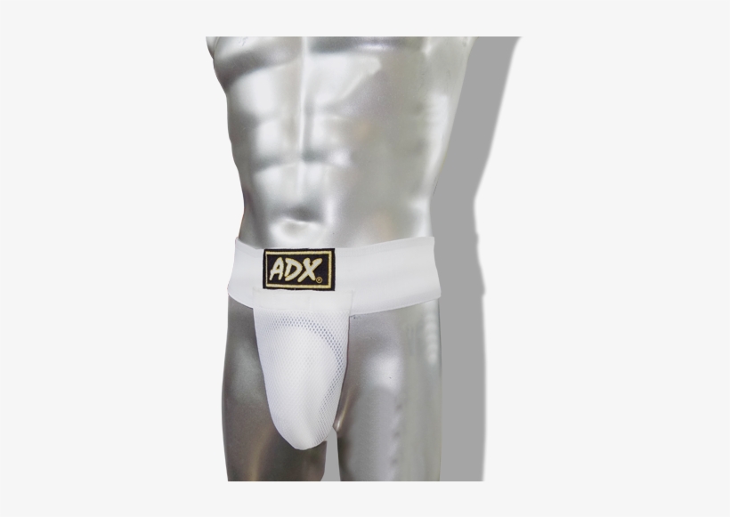 Concha, transparent png #3203806