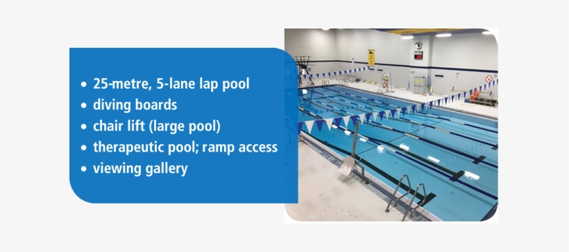 Swim & Aquafitness Schedule - Garnet A Williams Pool, transparent png #3203992
