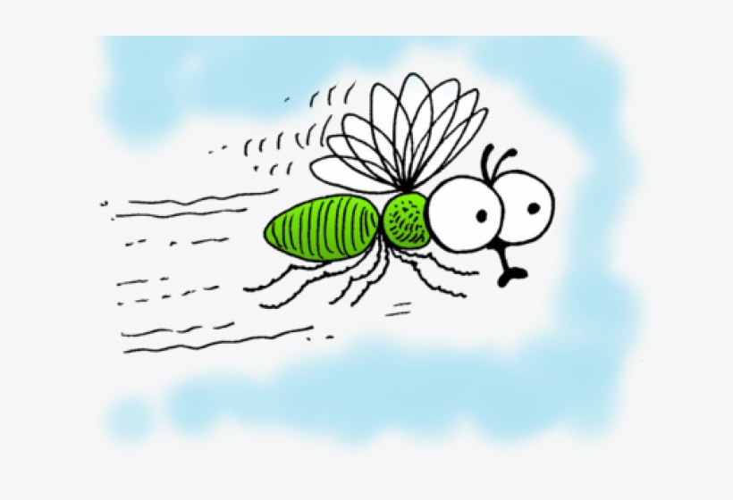 Regular And Irregular Verbs, transparent png #3205571