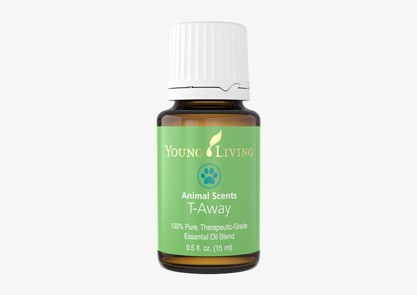 Young Living Animal Scents T Away Essential Oil - Young Living Paragize, transparent png #3205881
