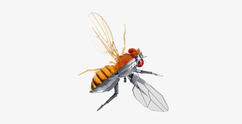 2018 Qbio Summer Course - Course, transparent png #3206110