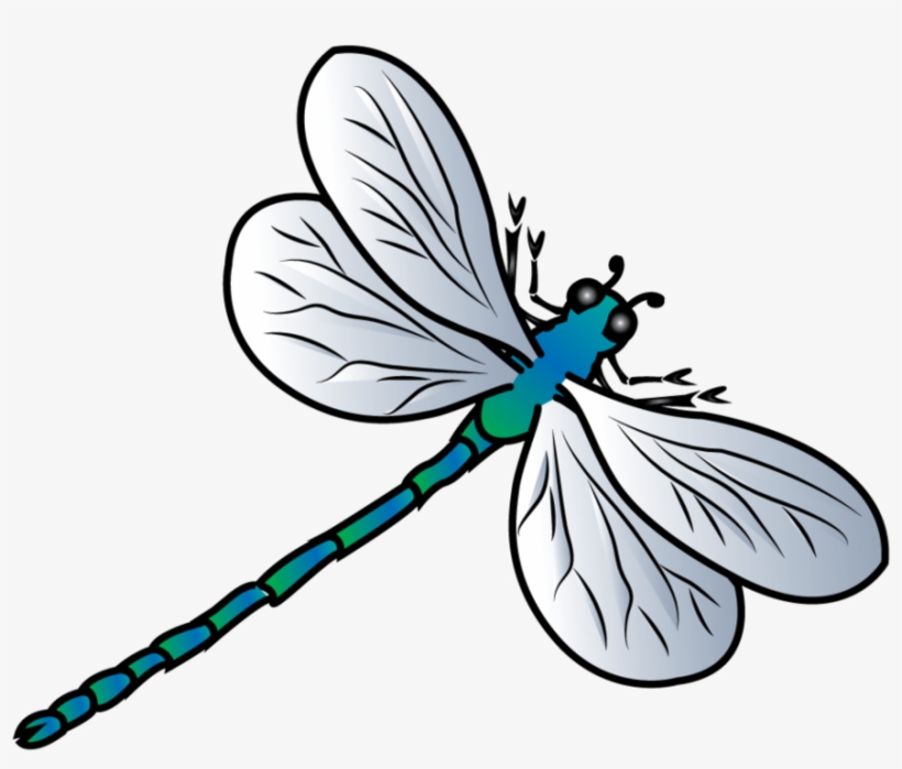 Dragonfly Background Png - Clip Art, transparent png #3206195