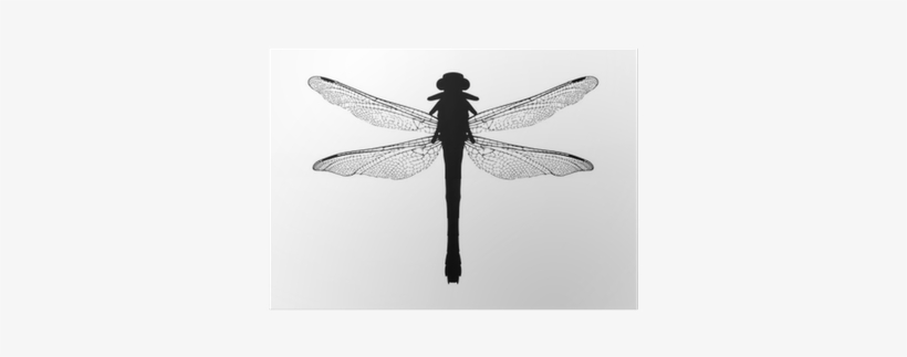 Silhouette, transparent png #3206261