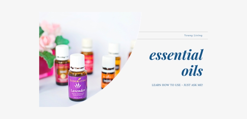 Essential Oils Have Have Been Used For Thousands Of - Young Living Essential Oils, transparent png #3206364