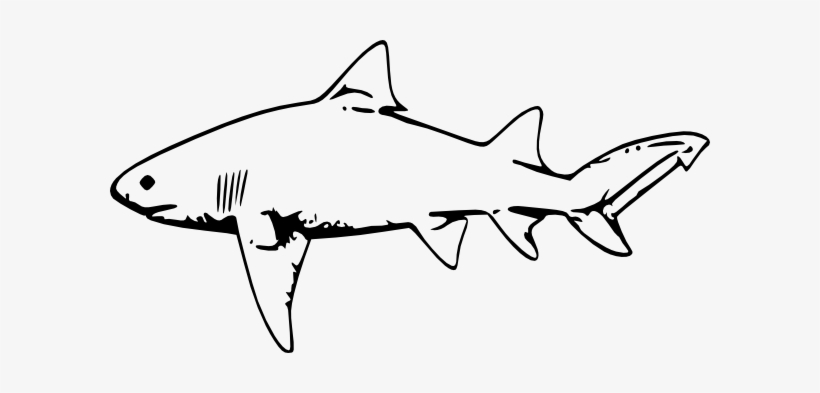 Lemon Shark Clipart 3 By Heidi - Lemon Shark Drawing, transparent png #3206401