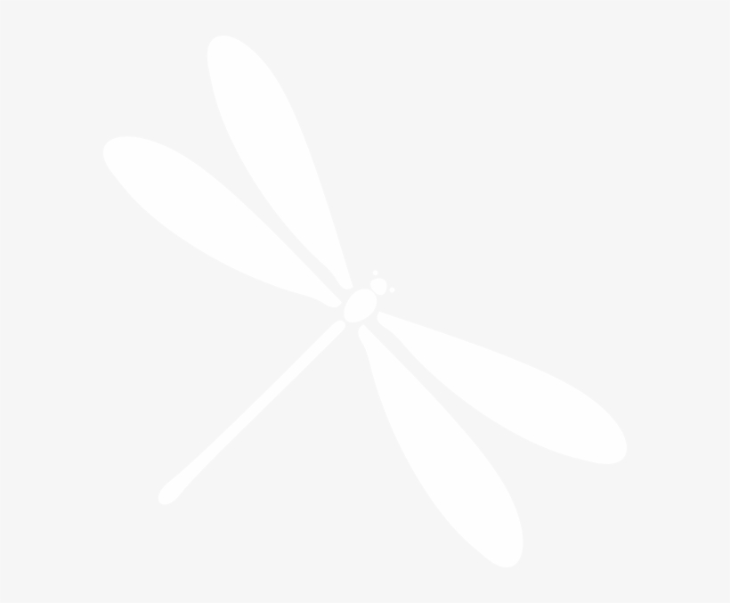 Damselfly, transparent png #3206655