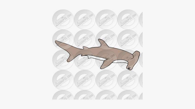 Hammerhead Shark Clipart Transparent Background - Smalleye Hammerhead, transparent png #3206688
