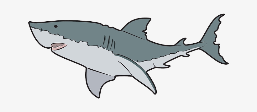 Mako Shark Clipart Transparent Background - Great White Shark Clipart, transparent png #3206749