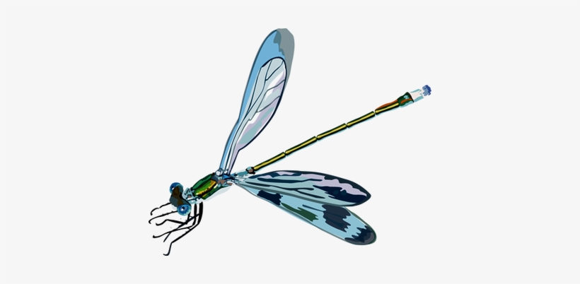 Dragonflies Clip Art - Bugs And Butterflies, transparent png #3206848