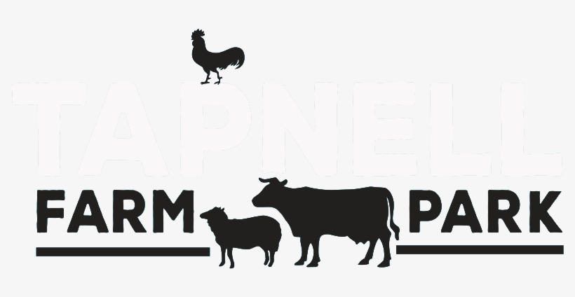 Tapnell Farm Park - Tapnell Farm Park Logo, transparent png #3207770