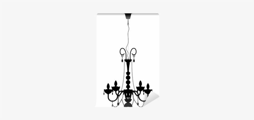 Photography, transparent png #3207802